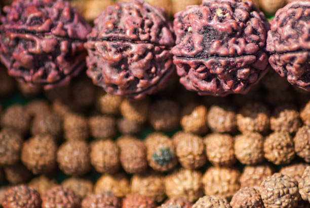 Why 18 Mukhi Rudraksha Benefits Are Considered Sacred in Vedic Astrology