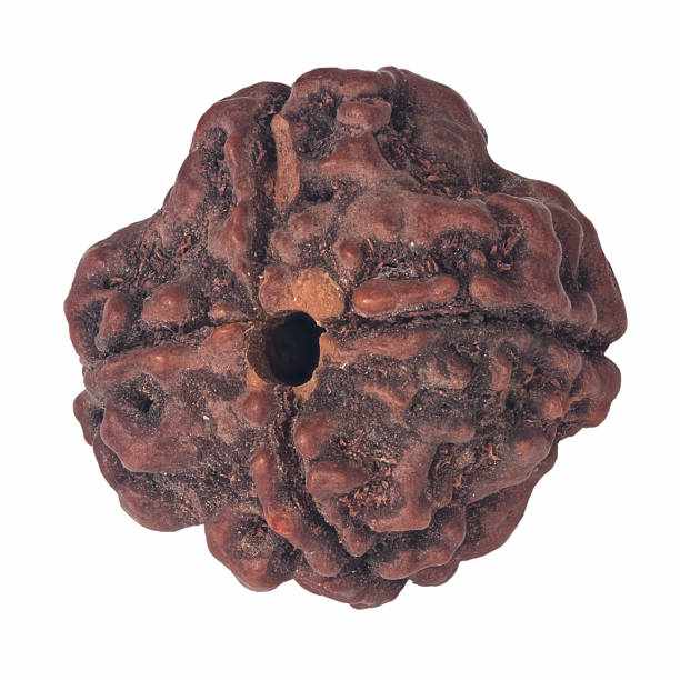 Benefits of 8 Mukhi Rudraksha for Meditation, Focus, and Spiritual Awakening
