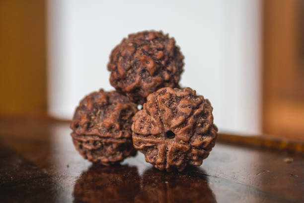 How to Identify 5 Mukhi Rudraksha and Check Its Authenticity