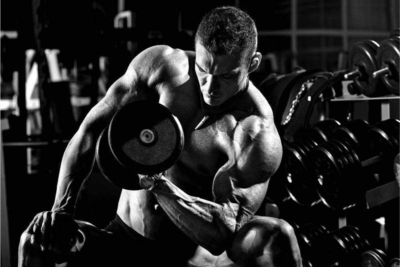 Best Sarms For Mucle Building: Best Supplements for Muscle Definition and Tone for Fitness Enthusiasts
