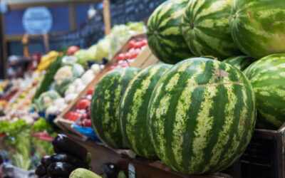 Watermelon Wholesaler Supplying Premium Greek Watermelons