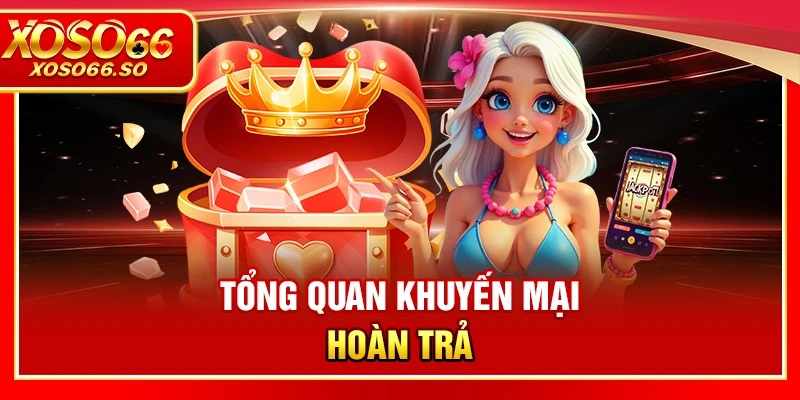 Phân Tích Sự Khác Biệt Giữa Tỷ Lệ Hoàn Trả Các Sảnh Game