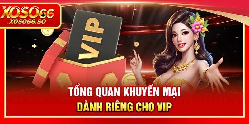 Khuyến khích sự Trung thực: VIP chỉ dành cho Người tuân thủ Quy định
