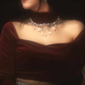 velvet_ashi logo