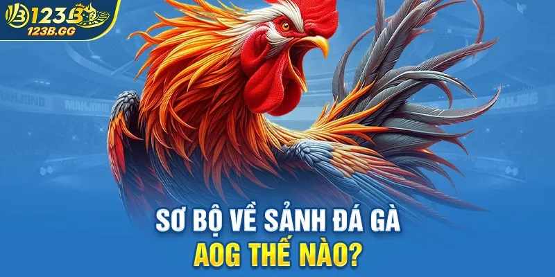 Tầm Quan Trọng Của Việc Phân Tích Chiến Kê Khi Cá Cược AOG