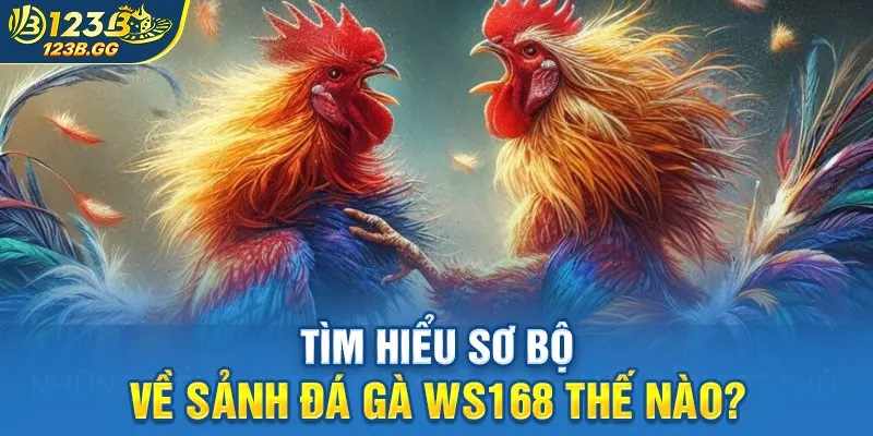 Đảm Bảo Công Bằng Tuyệt Đối: Quy Định Xử Lý Lỗi Kỹ Thuật tại WS168
