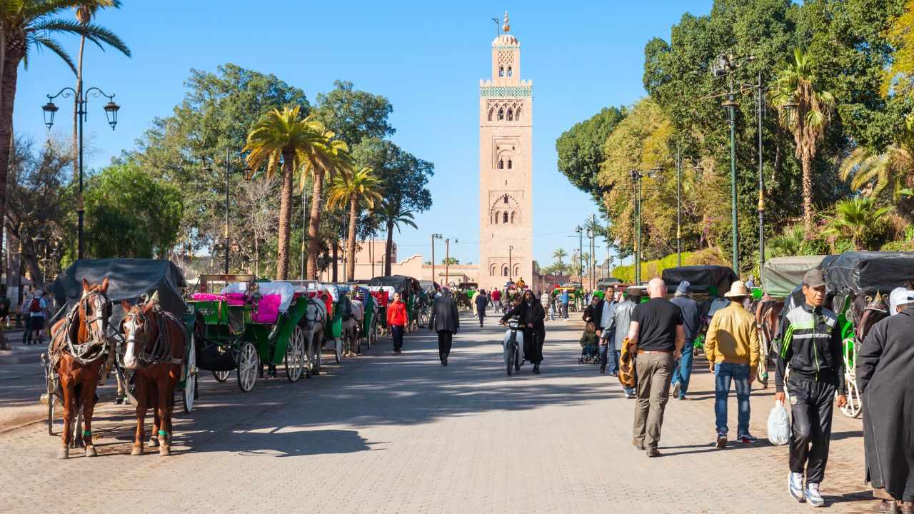 Why Visit Marrakech? The Beating Heart of Morocco - Morocco Nomad Safari