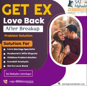  Sai Mahadev Astrologer