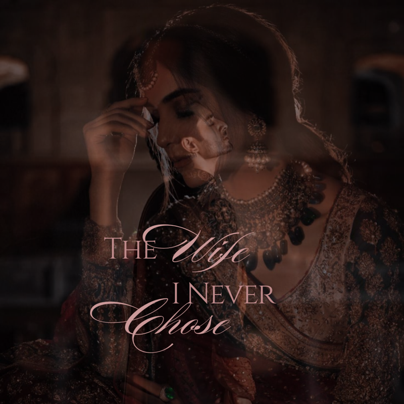 The Wife I Never Chose [On pause]