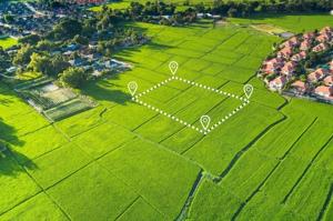 Invest in Plot for Sale in Karnataka – Build Your Dream Home or Commercial Venture