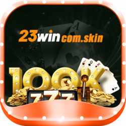 23wincomskin