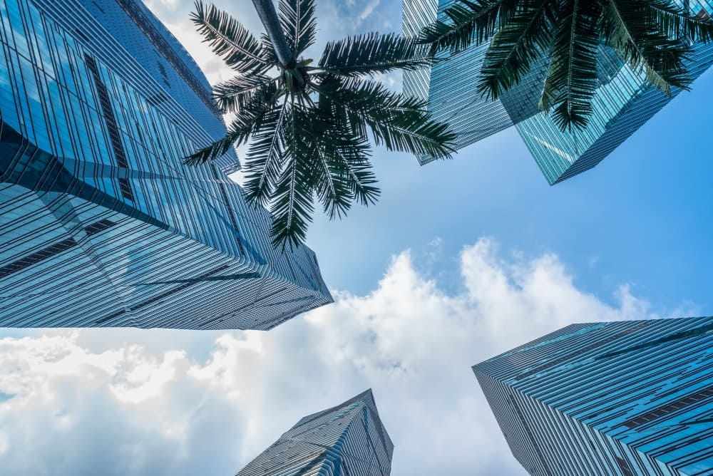 Freezone Company Formation in Dubai — Why 2025 is the Best Year to Start