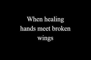 13 | When healing hands meet broken wings
