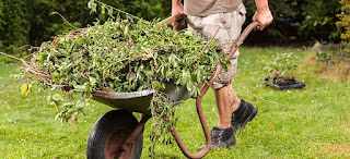 Green Waste Removal Melbourne