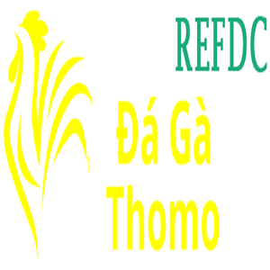 Đá Gà Trực Tiếp Thomo