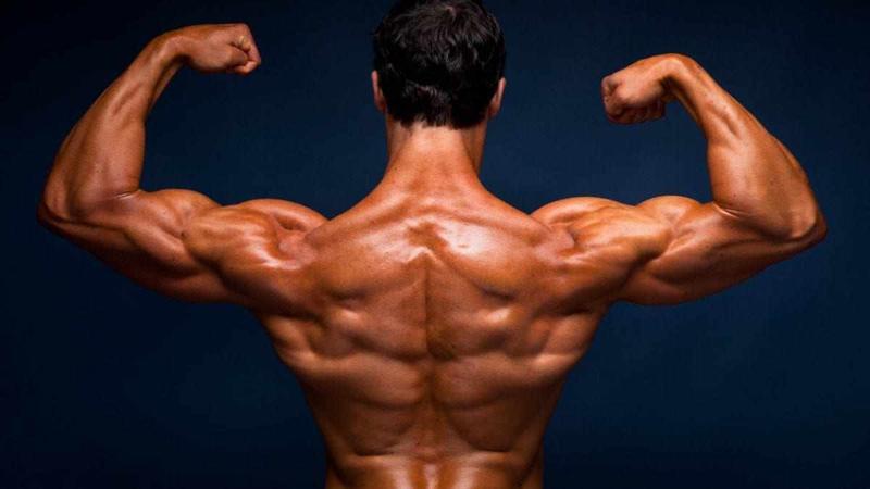 Best legal steroids [ I Tried It ] Here's My Fat Burner For belly Reviews 2025