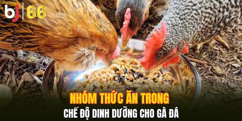 Chế Độ Dinh Dưỡng Tối Ưu Cho Gà Đá, Đảm Bảo Tăng Trưởng Hiệu Quả
