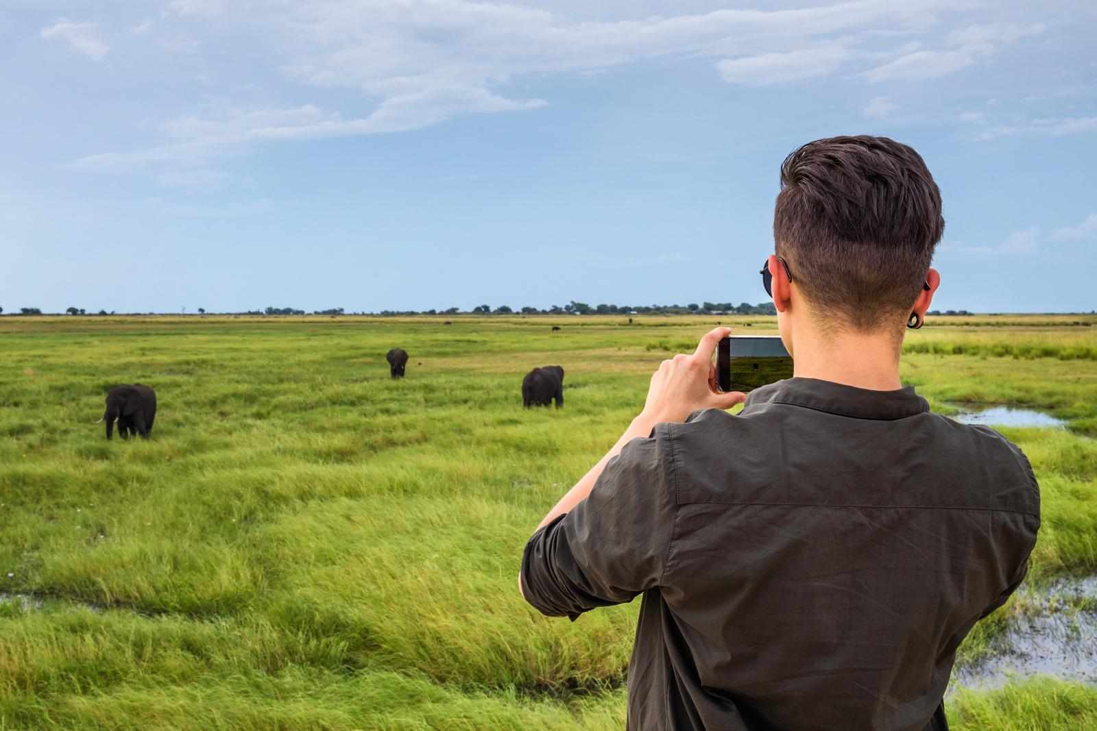 Botswana Safari Adventures: eVisa Tips for Wildlife Enthusiasts