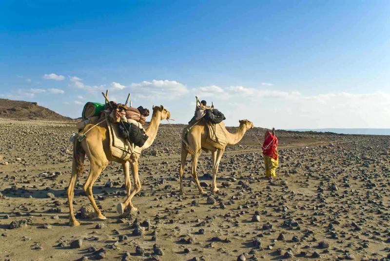 Djibouti eVisa for Tuvalu Citizens