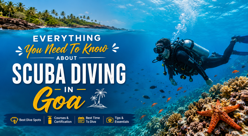 Everything You Need To Know About Scuba Diving In Goa