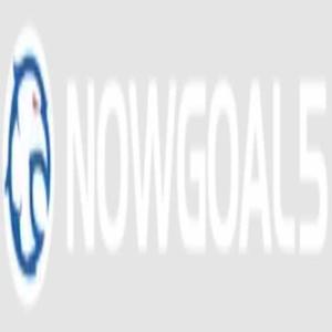 Nowgoal logo