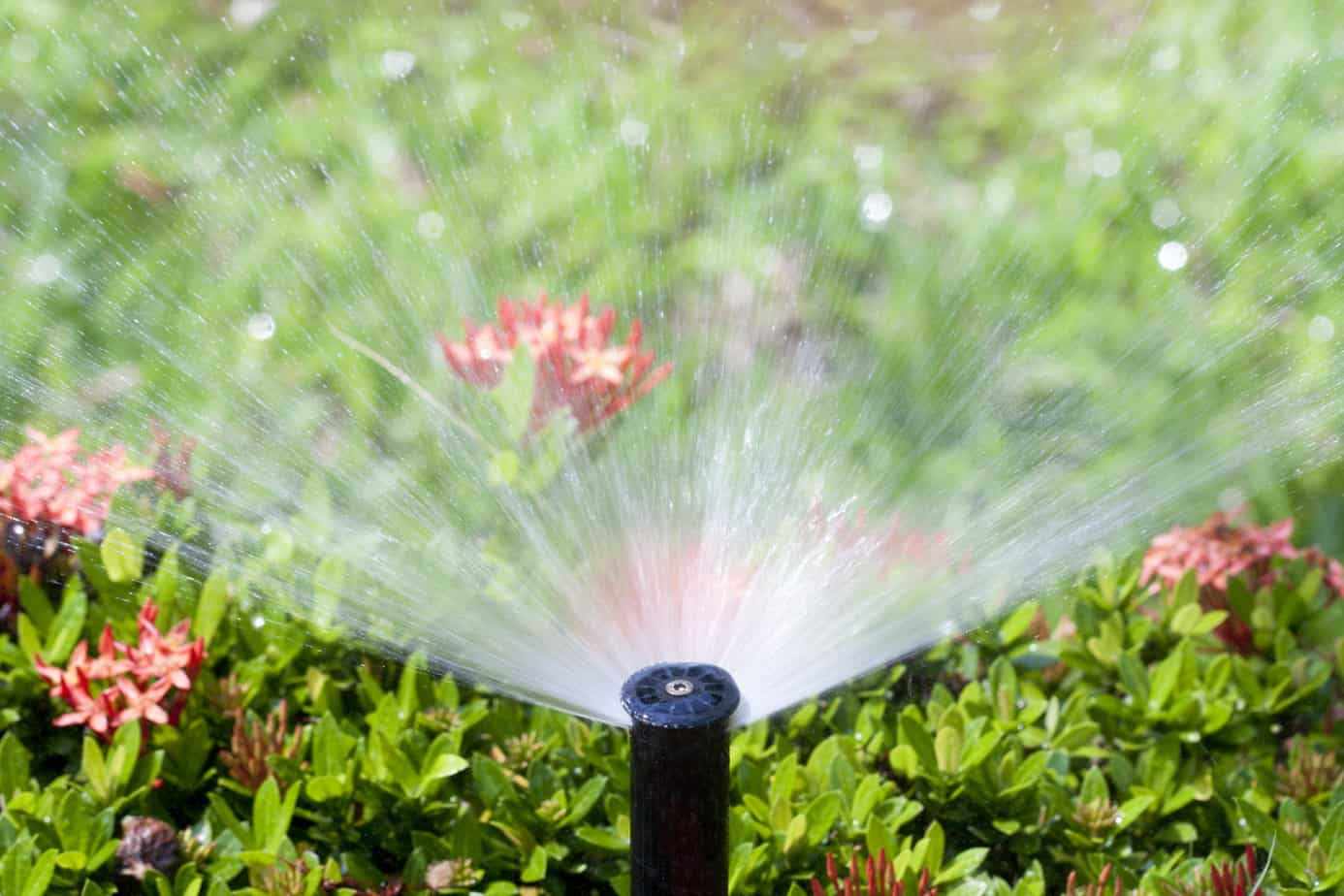 Transform Your Tampa Landscape: Premier Irrigation and Artificial Turf Services