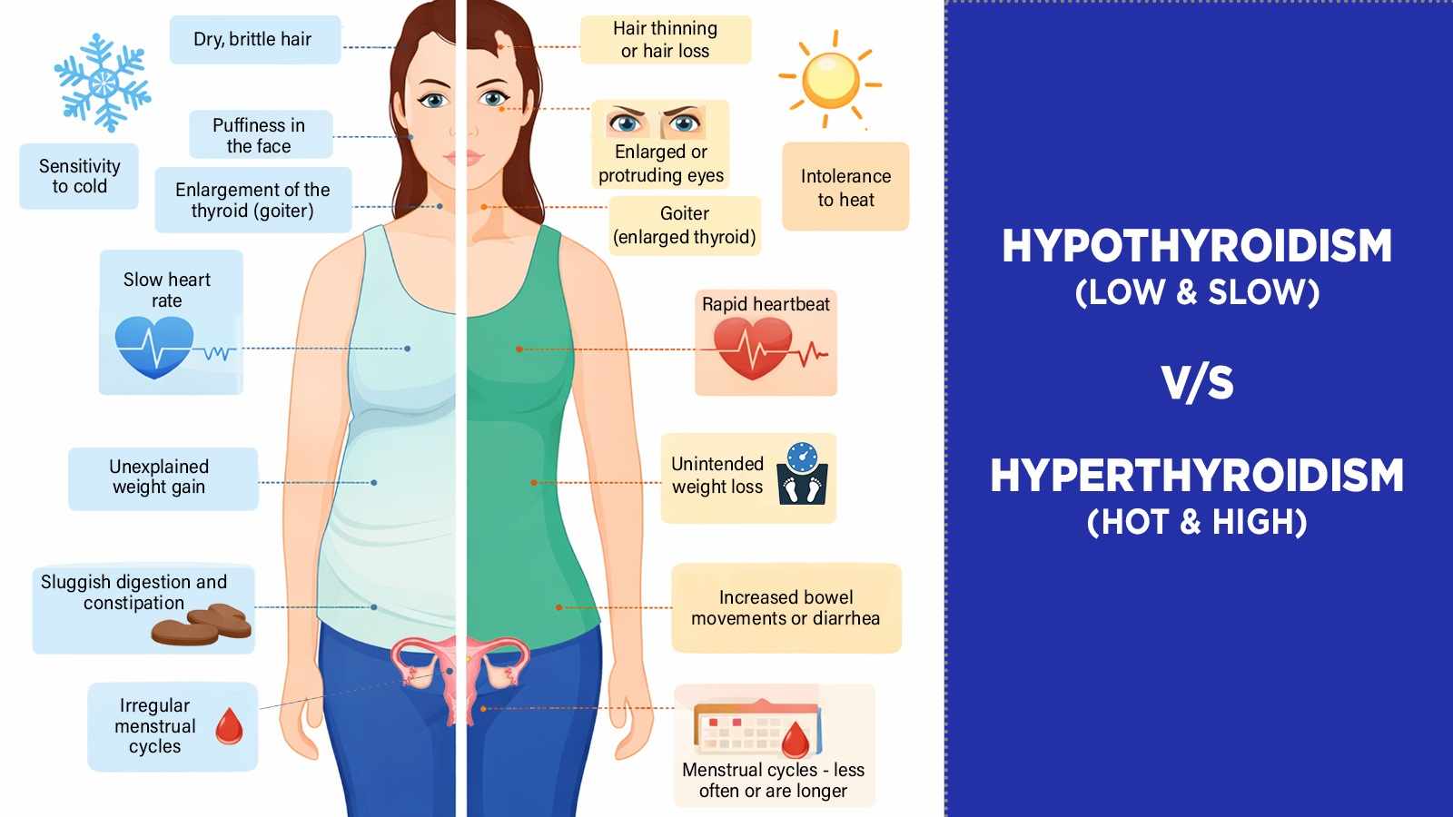 Understanding Hypo vs Hyperthyroidism and Replacement