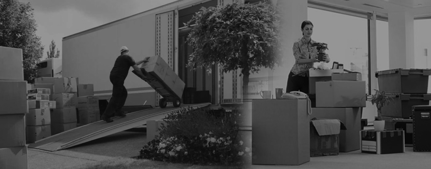 Why Men That Move is Perfect for Local Sydney Moves