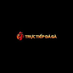 ĐÁ GÀ TRỰC TIẾP Đá Gà Trực Tiếp Thomo