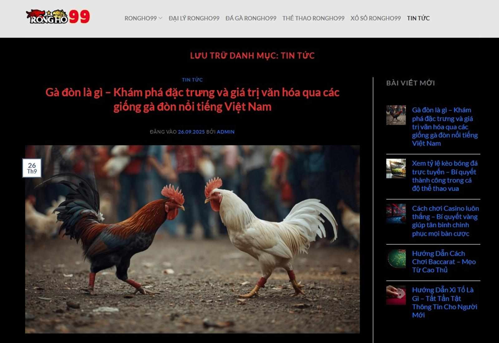 Tại sao Tin Tức RongHo99 được nhiều người tin dùng