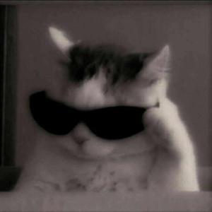 ૮꒰ ˶• ༝ •˶꒱ა ♡ logo