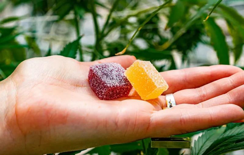 Green Nature Farms CBD Gummies : Myths And Facts Revealed!