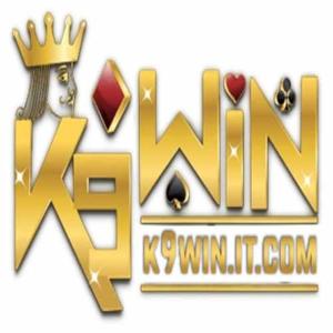 K9WIN