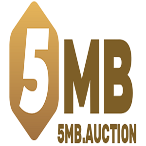 5MB auction
