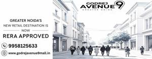 What is The Price of Godrej Avenue 9 Greater Noida?