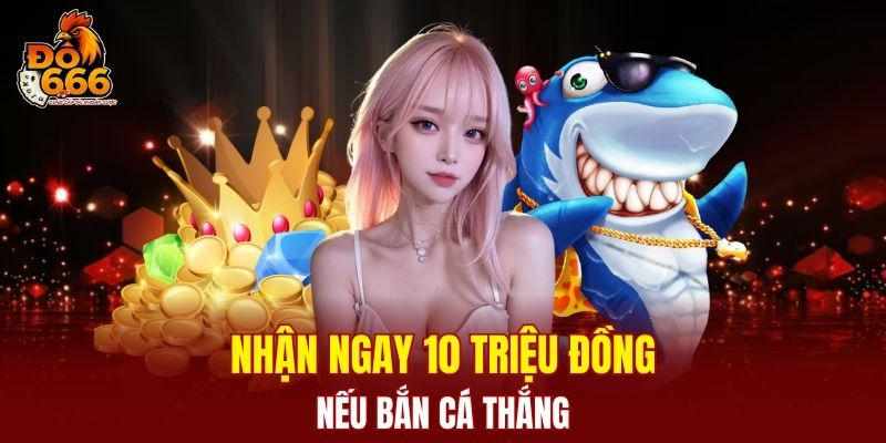Sự uy tín và đa dạng sản phẩm của nhà cái DO666