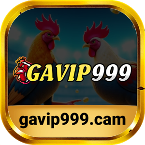 gavip999cam