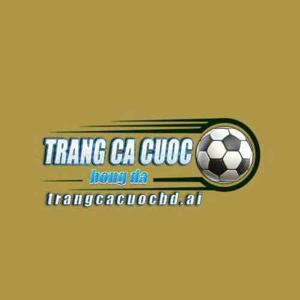 Trang Cá Cược Bóng Đá AI