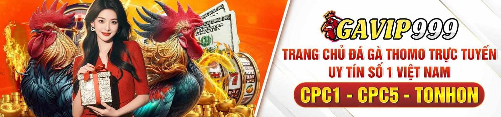 Điểm đến hoàn hảo cho những tín đồ đá gà và cá cược trực tuyến