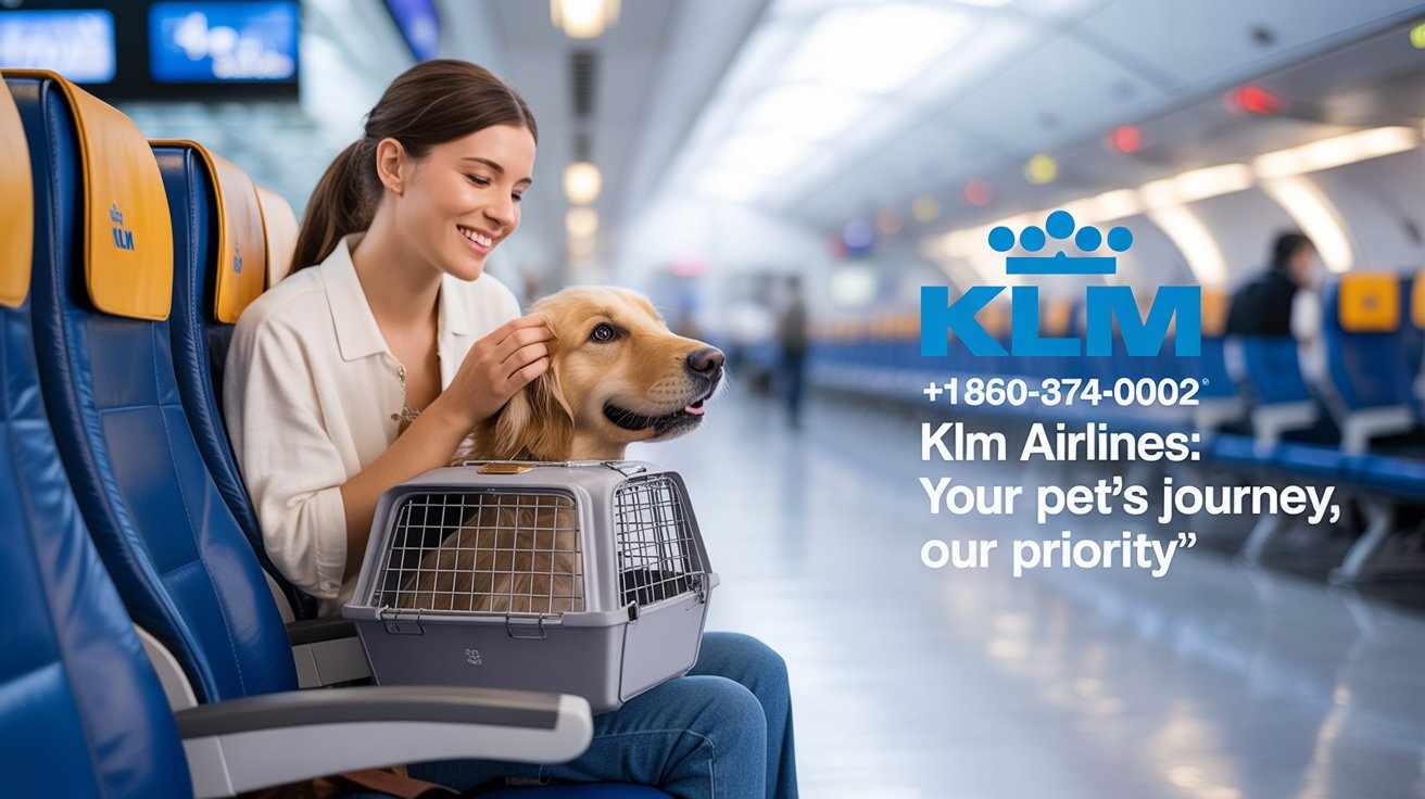 KLM Airlines Pet Policy 2025 – A Complete Guide for Flying With Pets
