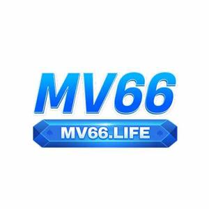 Mv66