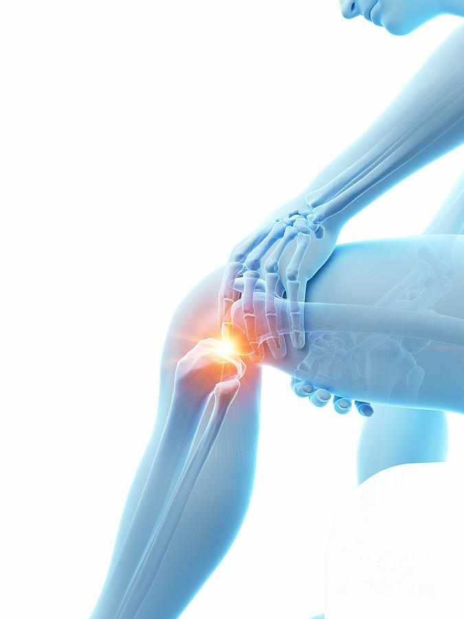 Comfoknee Germany : Beware before buying! Is It Legit or a Scam?