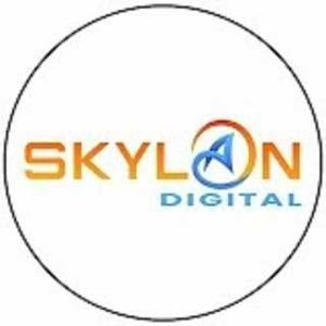 skylandigital11 logo