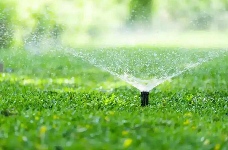 Lawn Care Melbourne