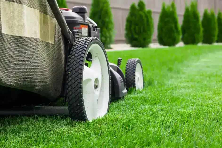 Lawn Care Melbourne