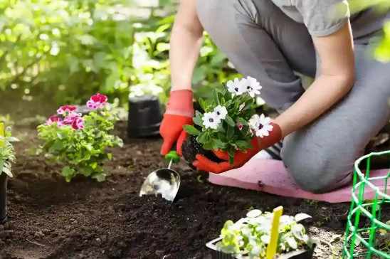 Gardeners Kew