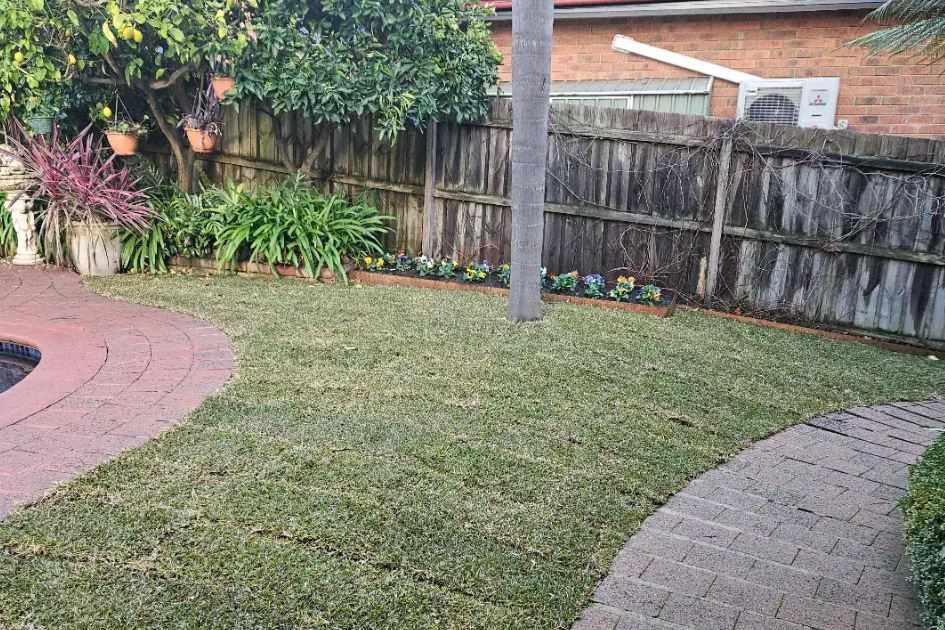 Lawn Care Melbourne