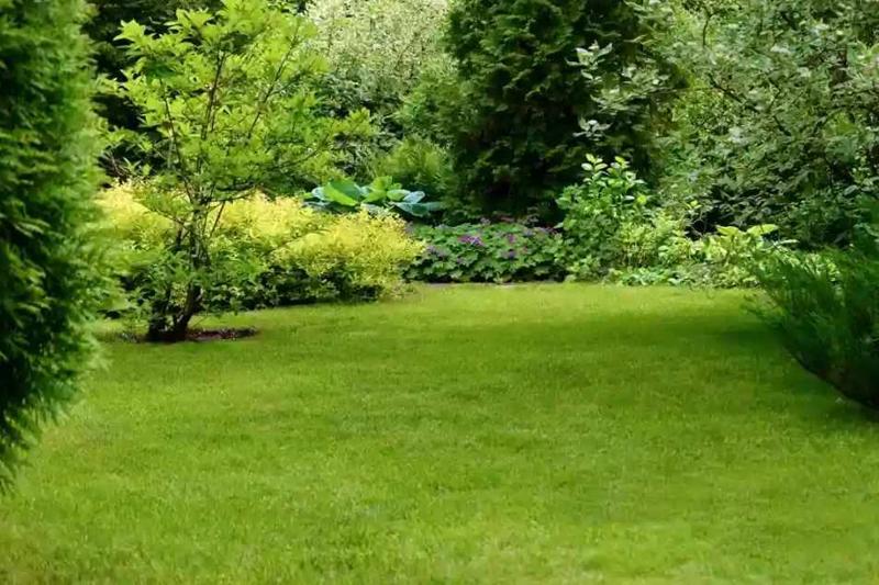 Gardeners Kew