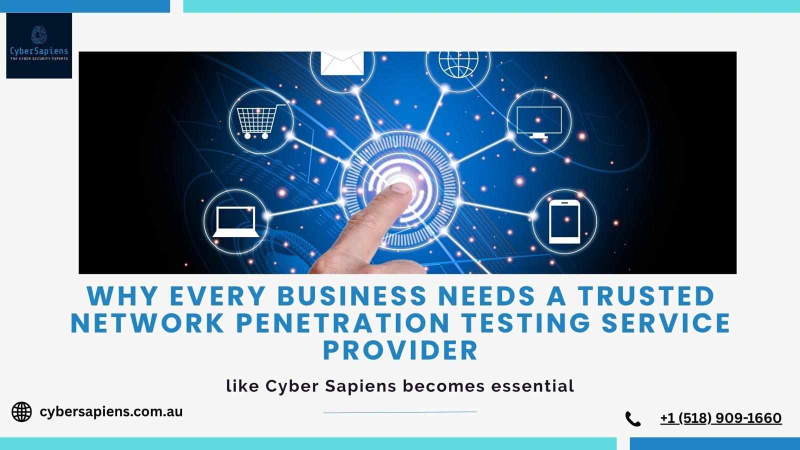Why Every Business Needs a Trusted Network Penetration Testing Service Provider