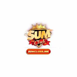 sumclubbink1